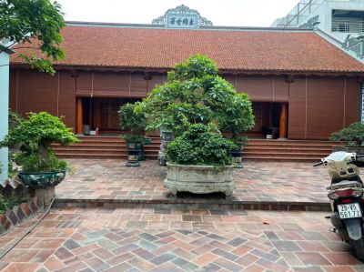 Gạch Bát Lát Sân Gam Đậm ( Kt 300x300x50mm)